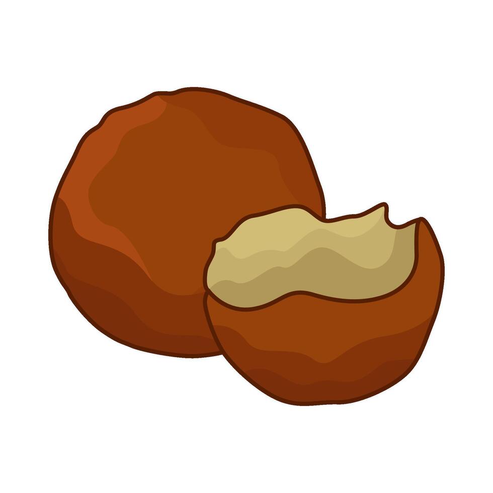 illustration of falafel vector