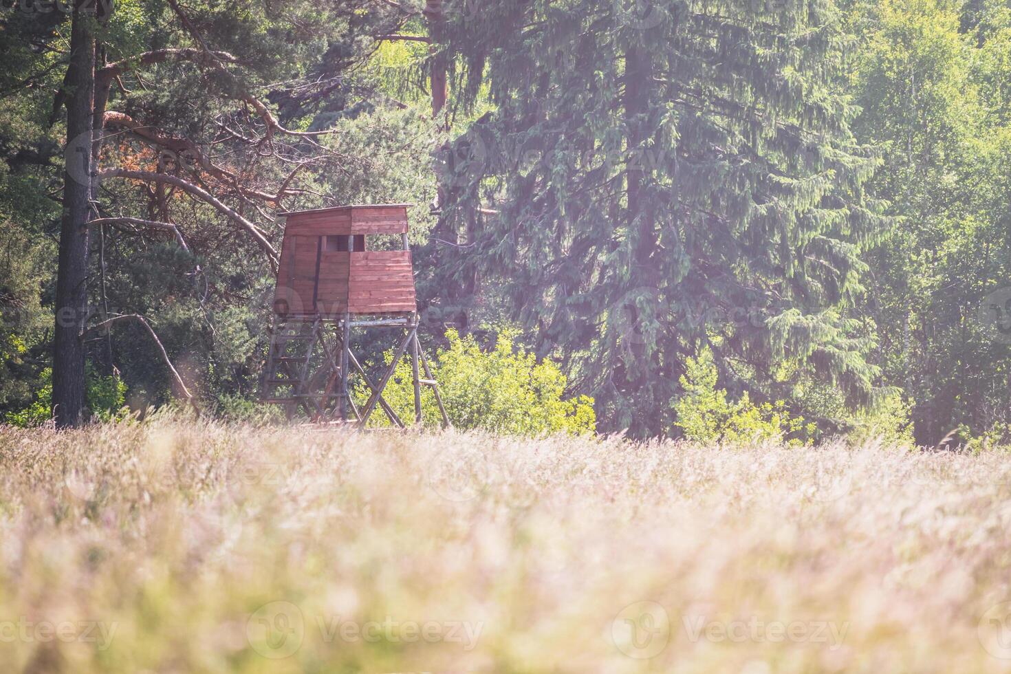 wooden hunting blind on the edge of the forest, near the meadow photo
