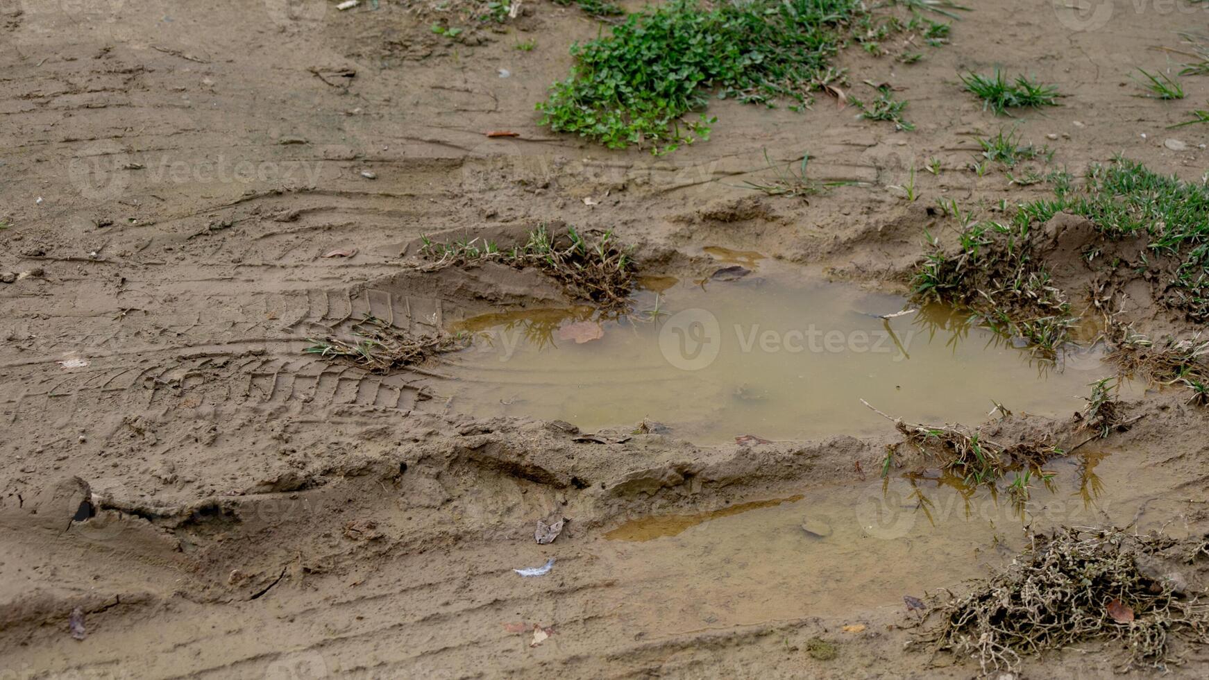 Muddy tire tracks on a dirt path with puddles highlight rural travel challenges during the rainy season photo