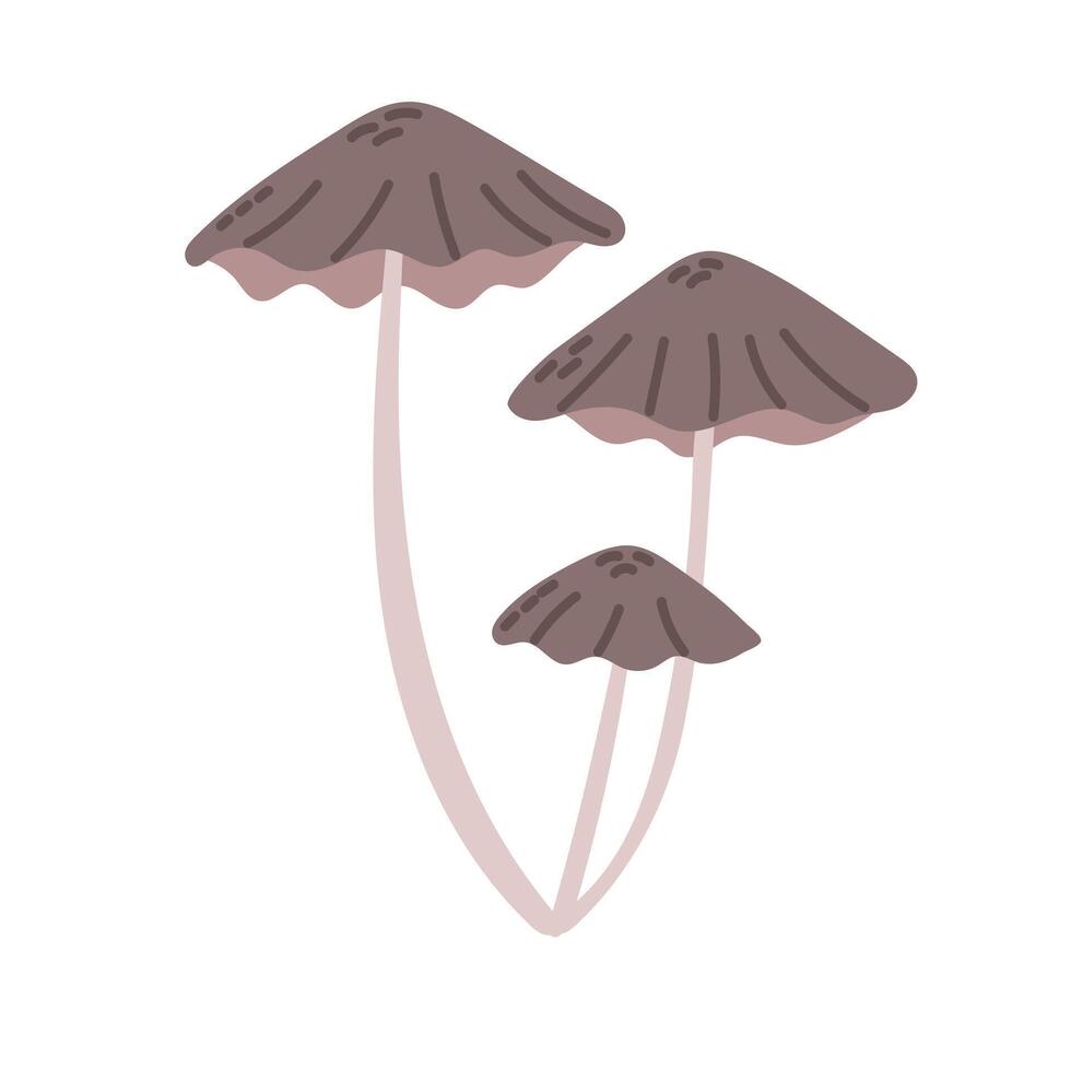 Illustration of three brown mushrooms with slender stems vector