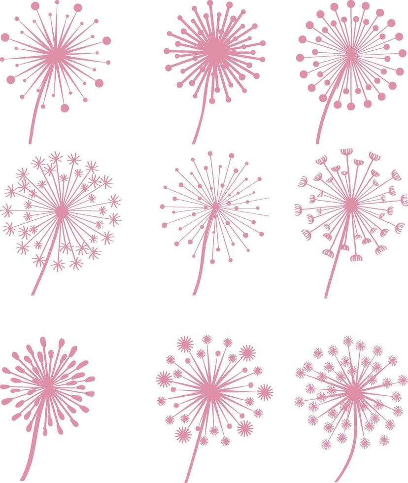 dandelion flower symbol vector