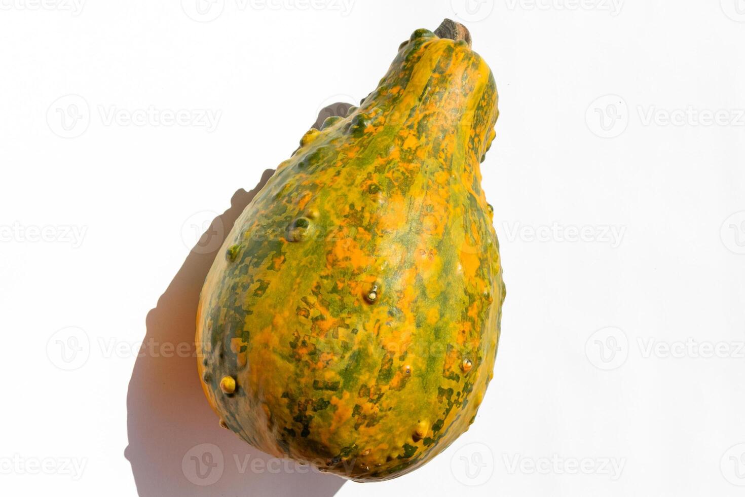 Vibrant, orange green gourd on a white background, symbolizing autumn harvest and commonly associated with Thanksgiving and Halloween decorations photo