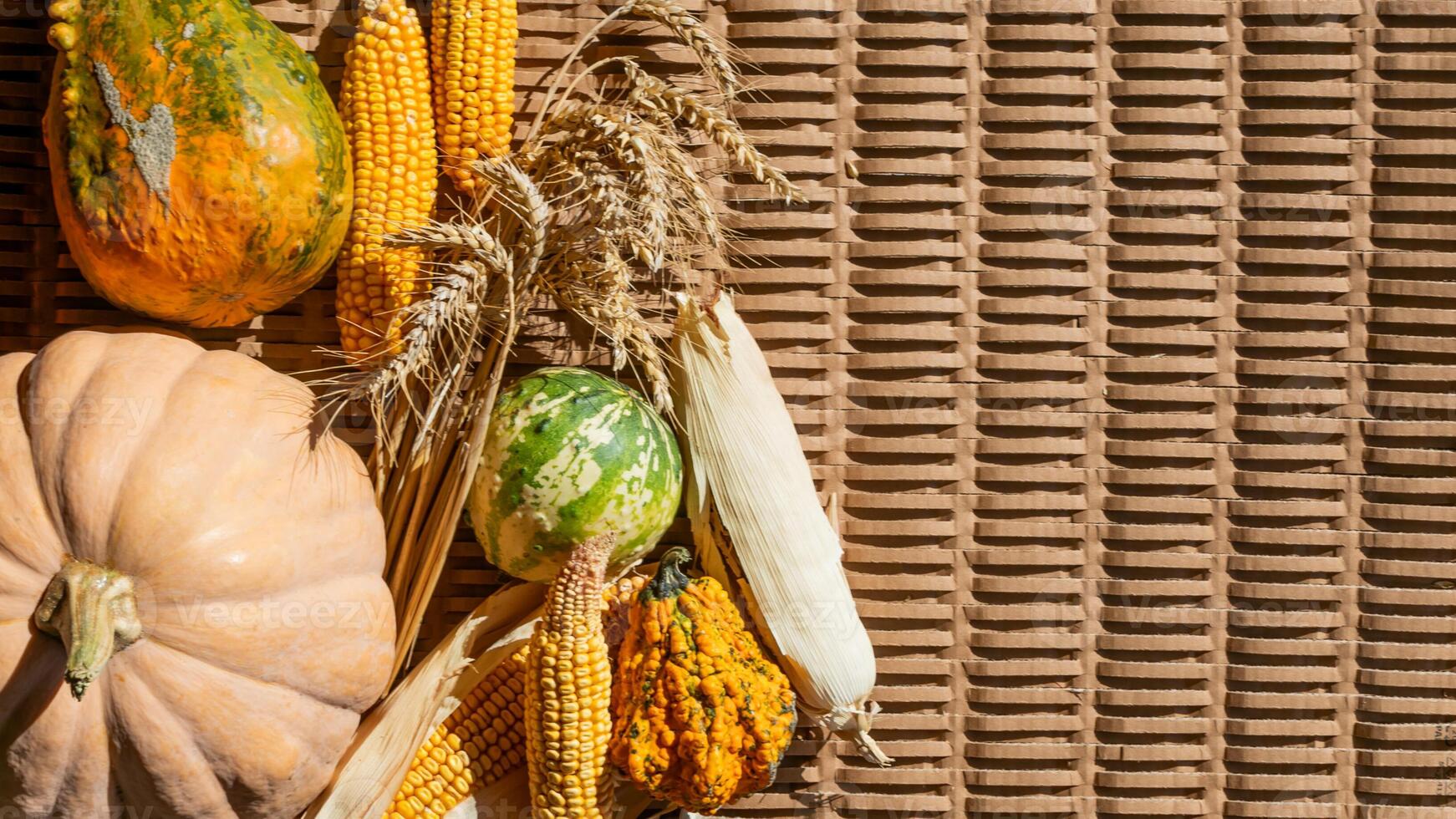 Autumn harvest theme with assorted pumpkins, corn, and wheat on a wicker background, celebrating Thanksgiving and abundance photo