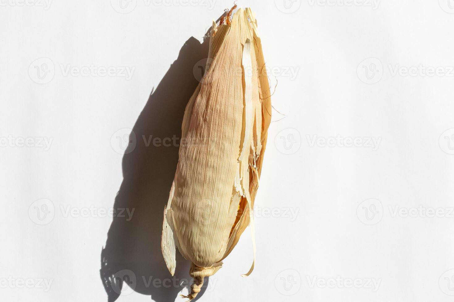 Dried corn husk casting a shadow on a white background, symbolizing autumn harvest and sustainable farming practices photo