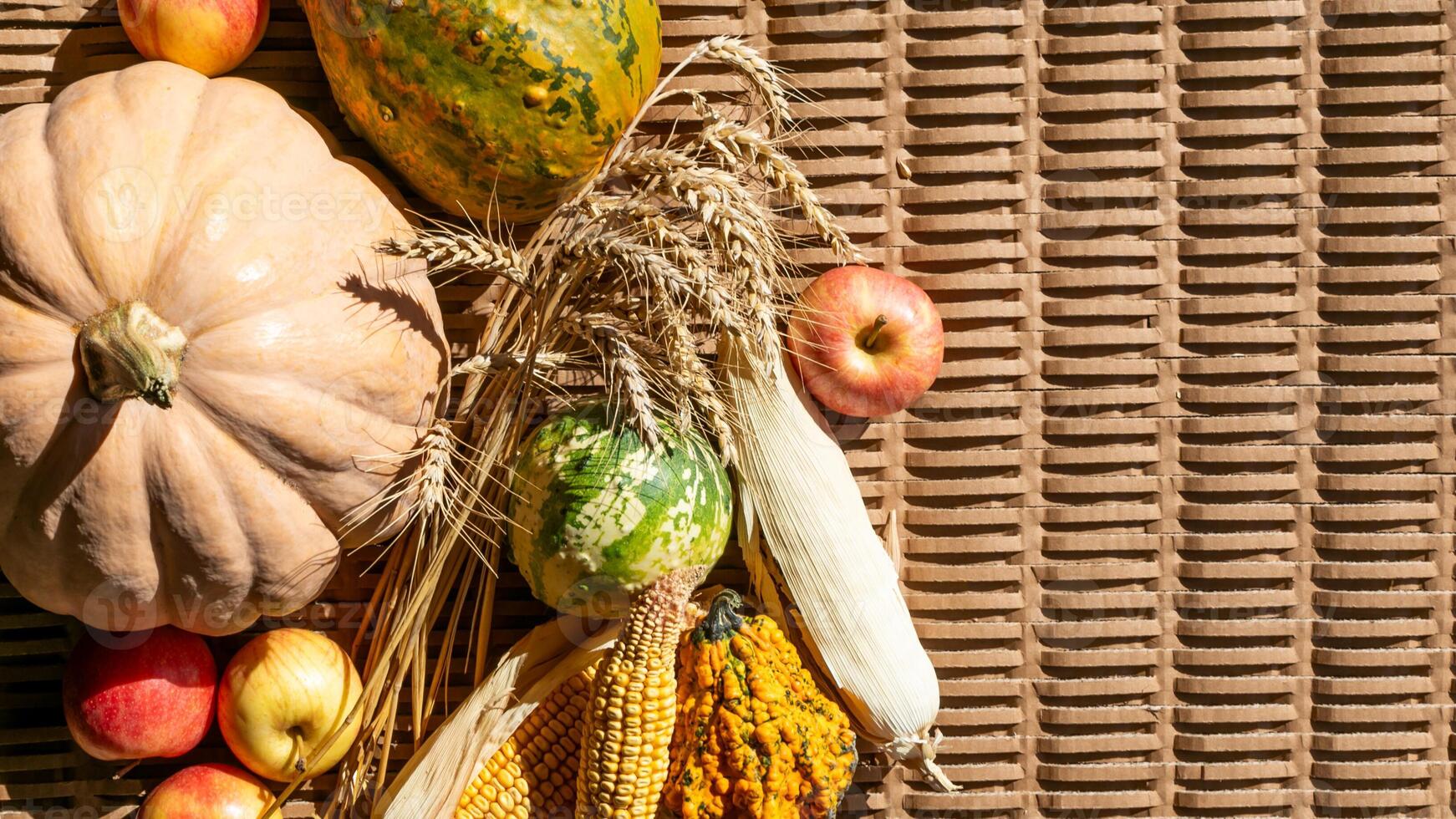 Autumn harvest concept featuring pumpkins, apples, corn, and wheat on a textured background, symbolizing abundance and Thanksgiving photo