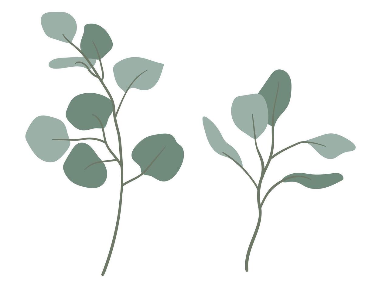 Green eucalyptus branches. illustration of branches in flat minimalistic style. Clipart for invitations, weddings, cards, banners, websites. vector