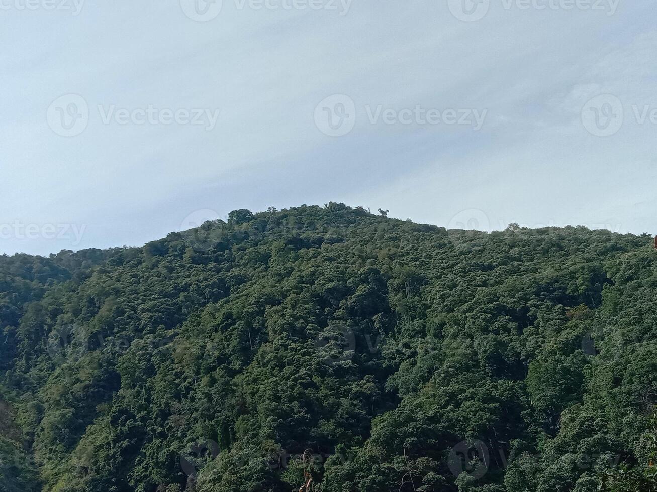 A view of the mountains from the top of a hill photo