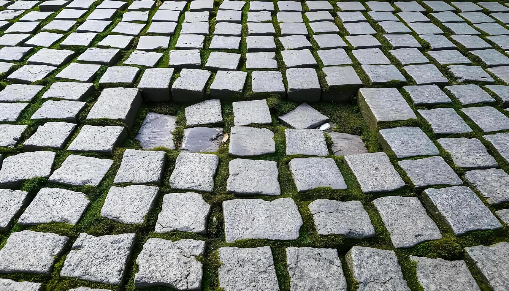 Cobblestone Surface with Moss Between Stones photo
