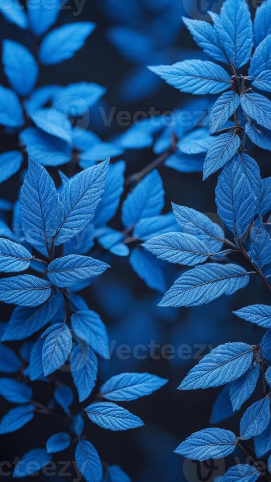 Blue leaves with detailed texture on blur background. Botanical nature scene with vibrant foliage. Close-up macro shot photo