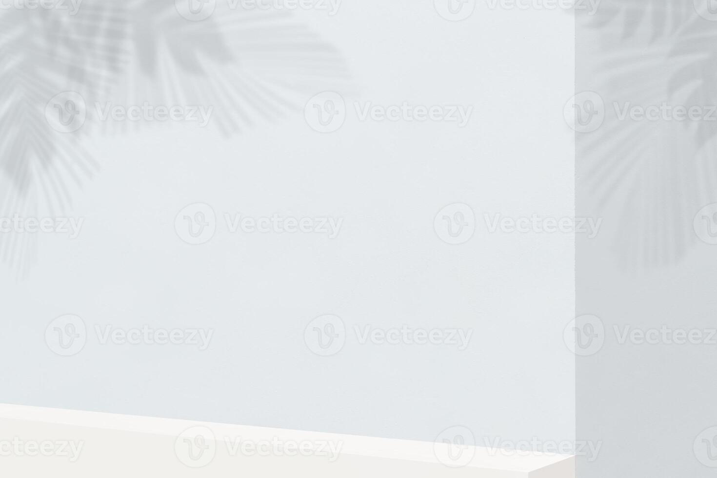 Shelves on a white-gray wall. Composition with shiny leaves on a wall. Mock up for presentation photo