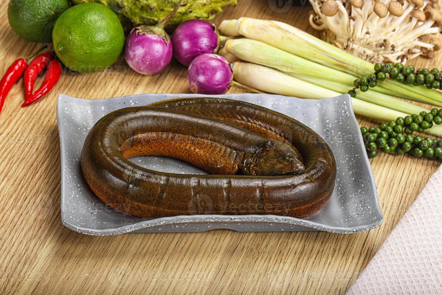 Fresh raw uncooked eel for grill photo