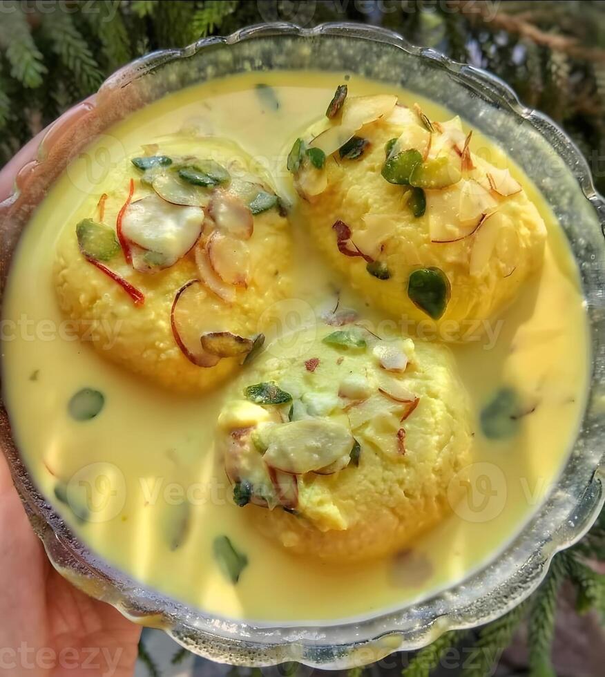 Indian dessert dish ras malai in a bowl photo