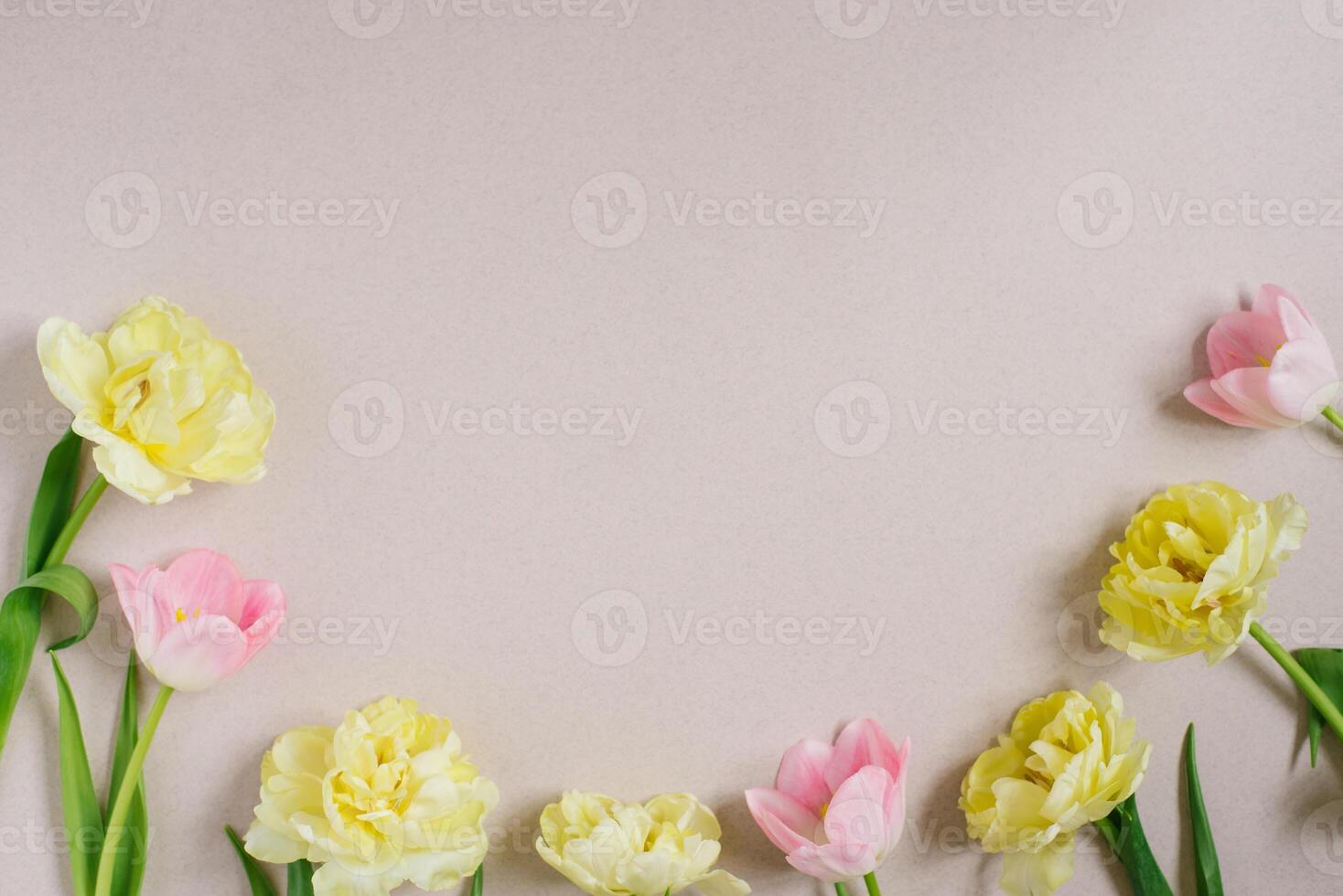 Pink and yellow tulips with pink hearts on a cold beige background. Flat position, top view. Backgrounds for Valentine's Day, Spring Day or Easter photo