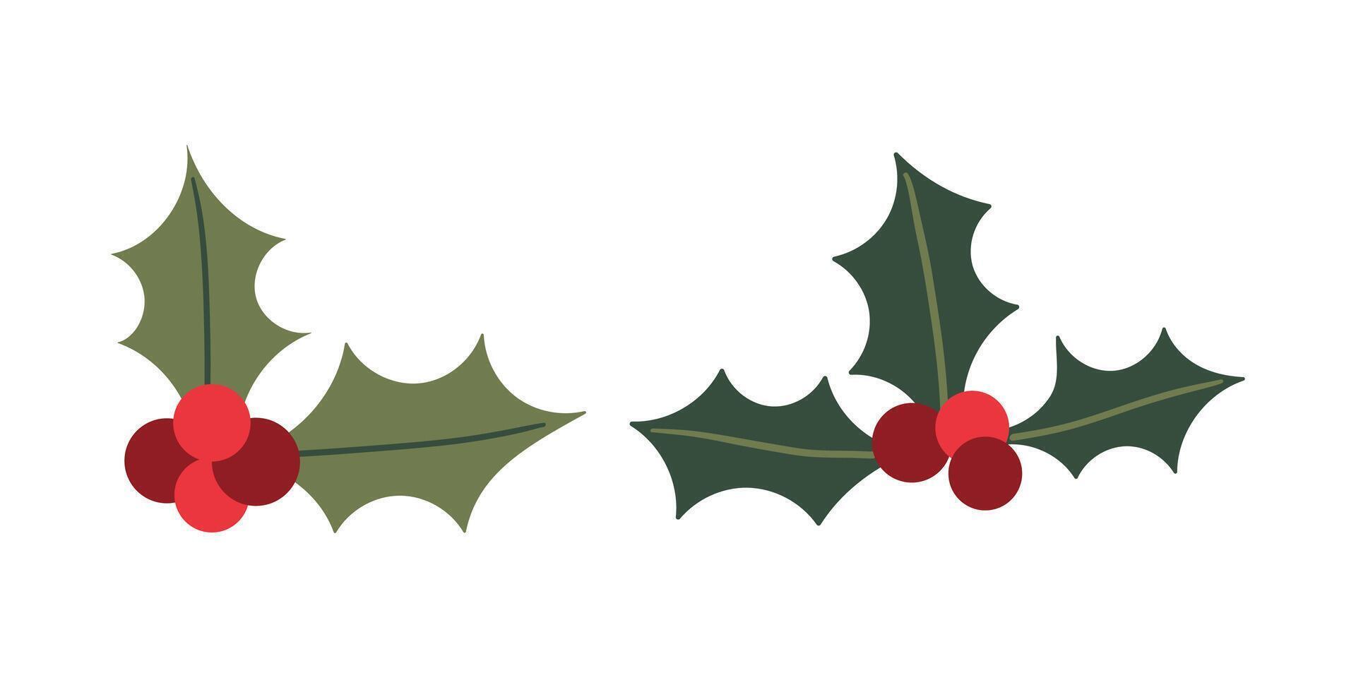 Winter berries , flower and leaves. hand drawn winter elements with leaf, fir, pine branches, berry. Christmas floral collection for invitations, greeting card, textile, fabric, posters. vector
