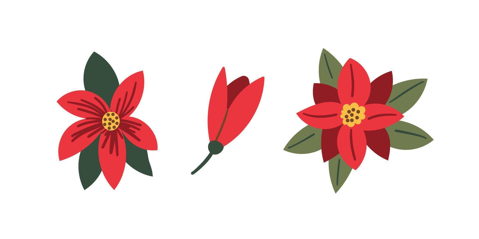 Set of flower and leaves. hand drawn winter elements with leaf, fir, pine branches, berry. Christmas floral collection for invitations, greeting card, textile, fabric, posters. vector