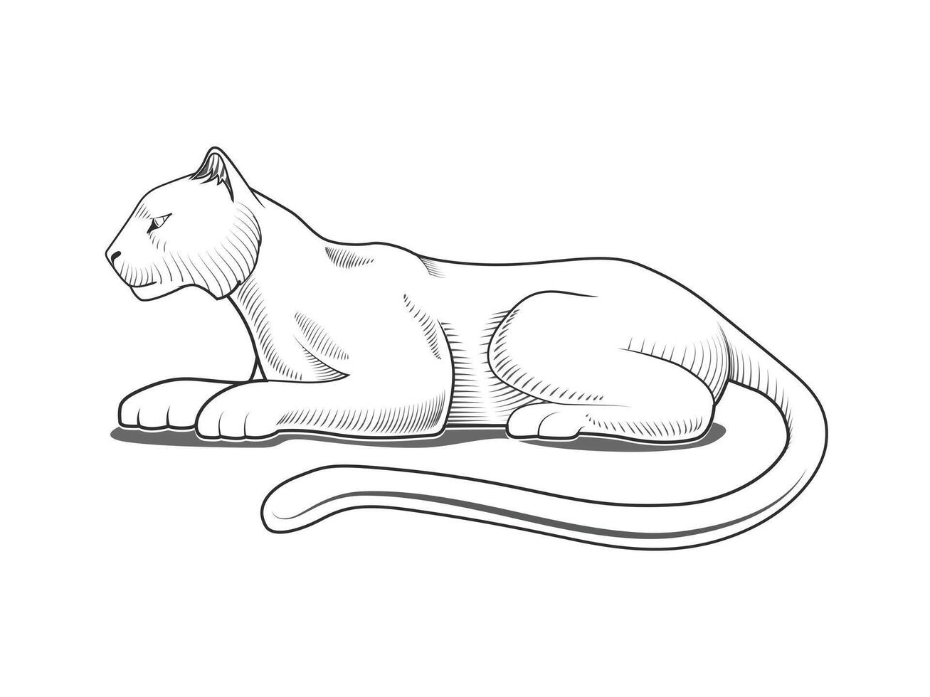 Panther engraving style emblem black and white illustration vector