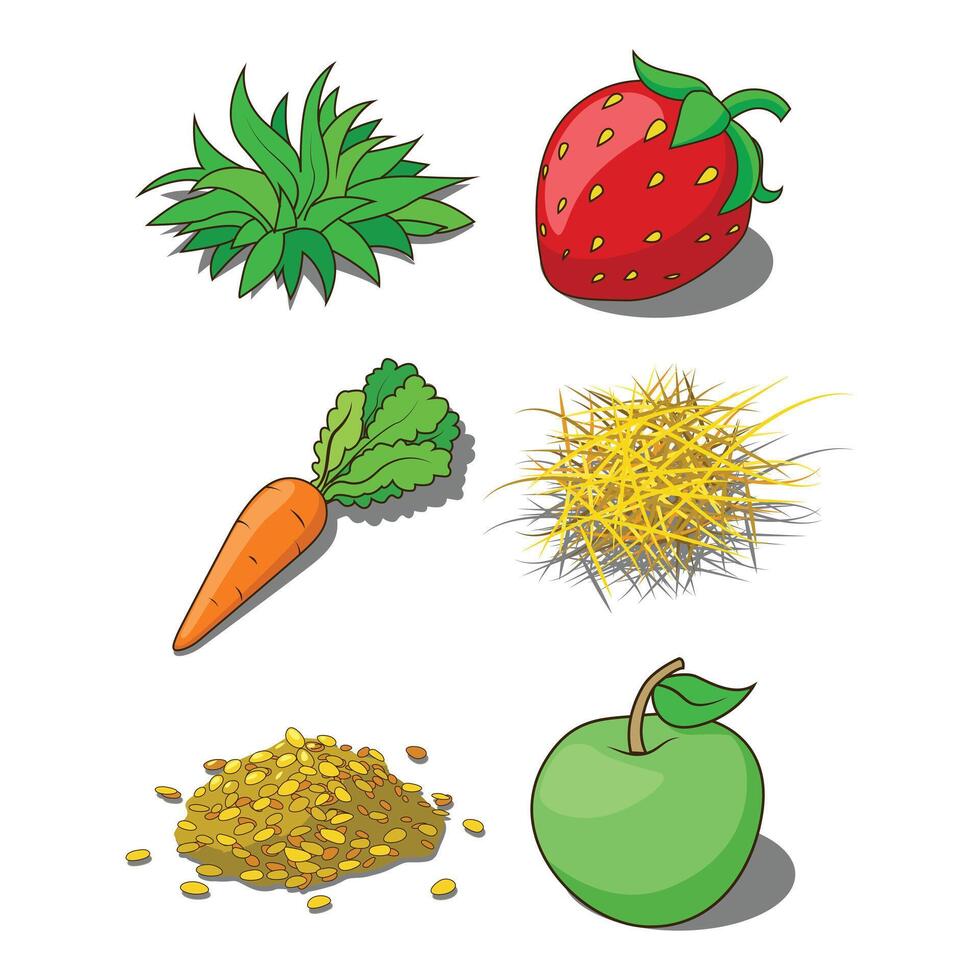 Animals food corn grass hay carrot illustration vector