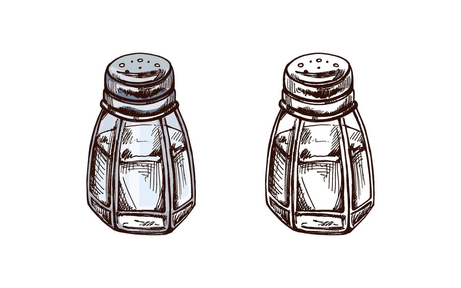 Hand-drawn colored and monochrome sketch of glass salt shaker with metal lid. Vintage drawing of salt shaker. black ink outline food sketch illustration. Food, cuisine. vector