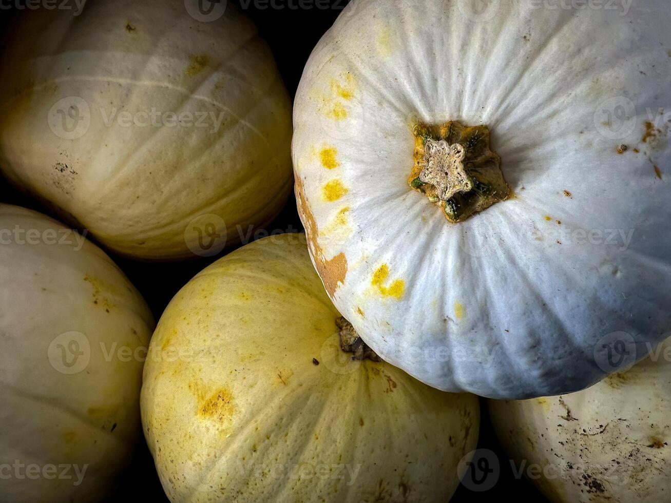 Halloween concept background with of white and yellow pumpkins on black background. Minimal, volumetric and trendy, copy space. photo