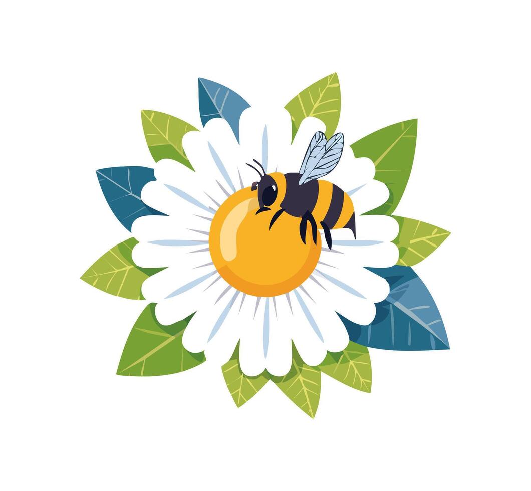bee resting on a blooming daisy vector