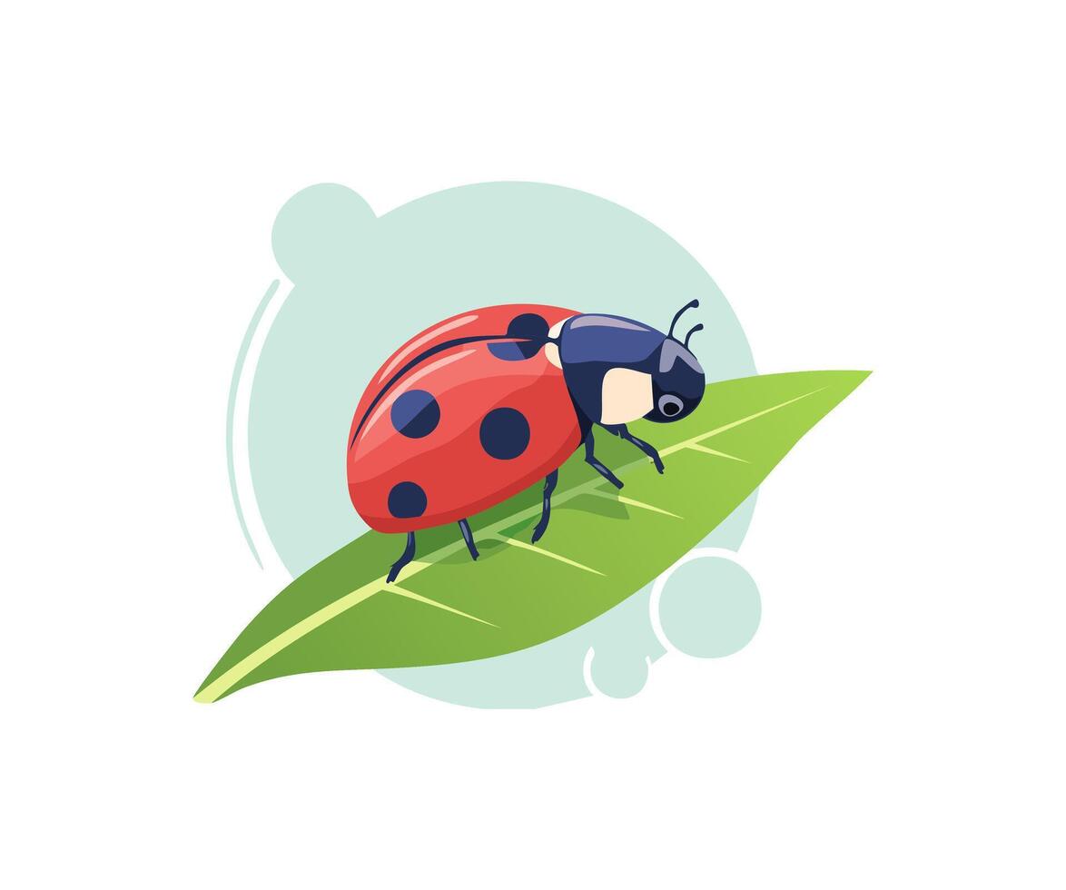ladybug crawling on a leaf vector