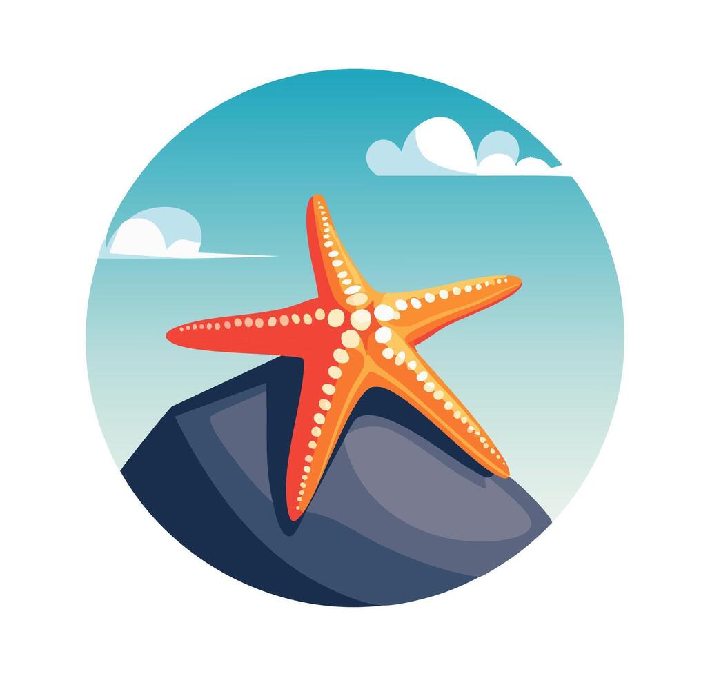 Starfish Clinging to a Rock vector