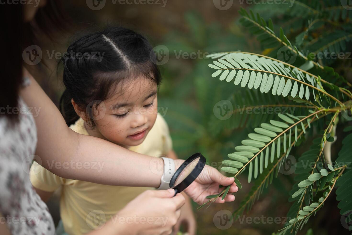 Asian woman is holding a magnifying glass and looking at a child. The scene is peaceful and educational, as the woman is teaching the child about the leaf photo