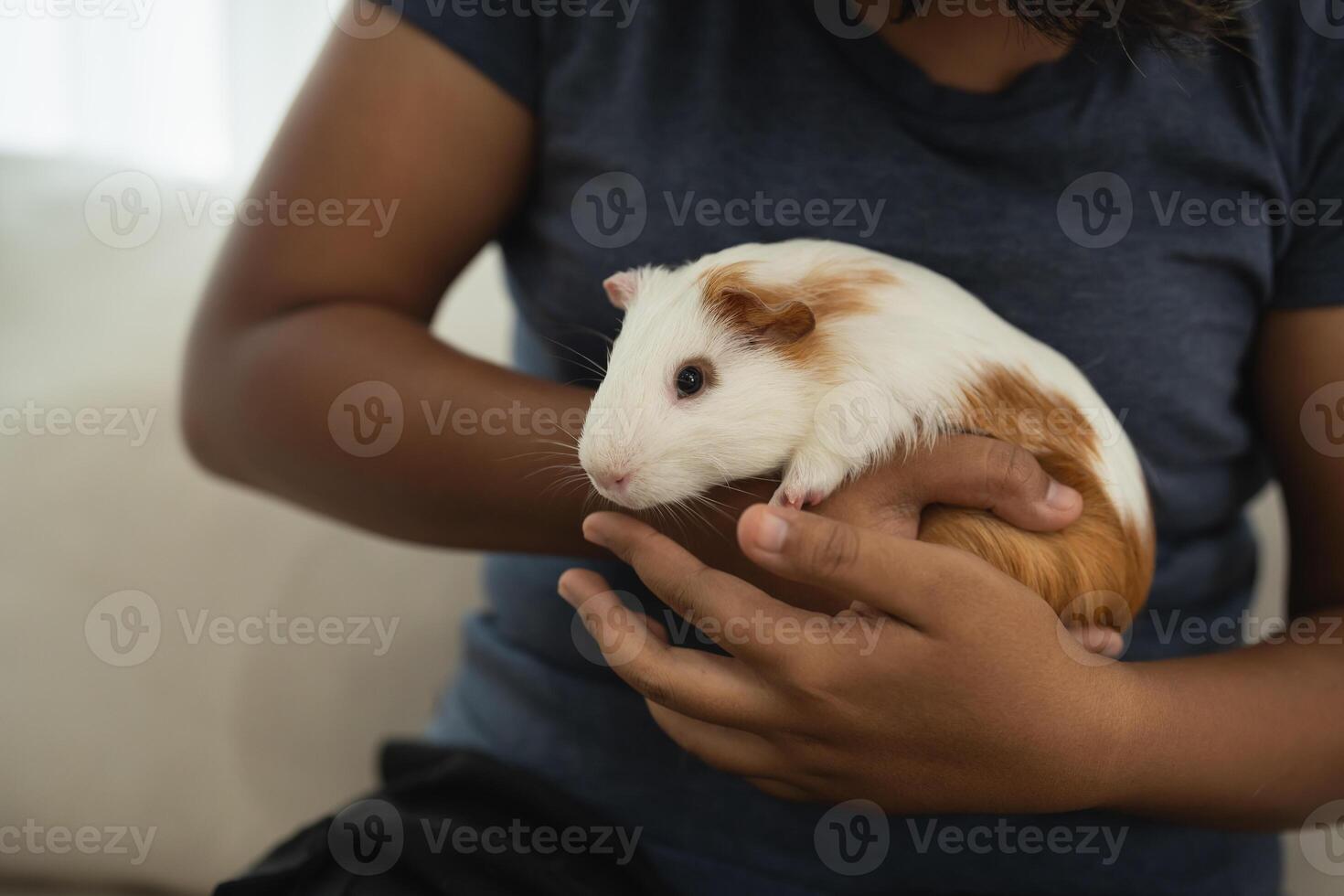 A person is holding a small white and brown animal in their hand photo
