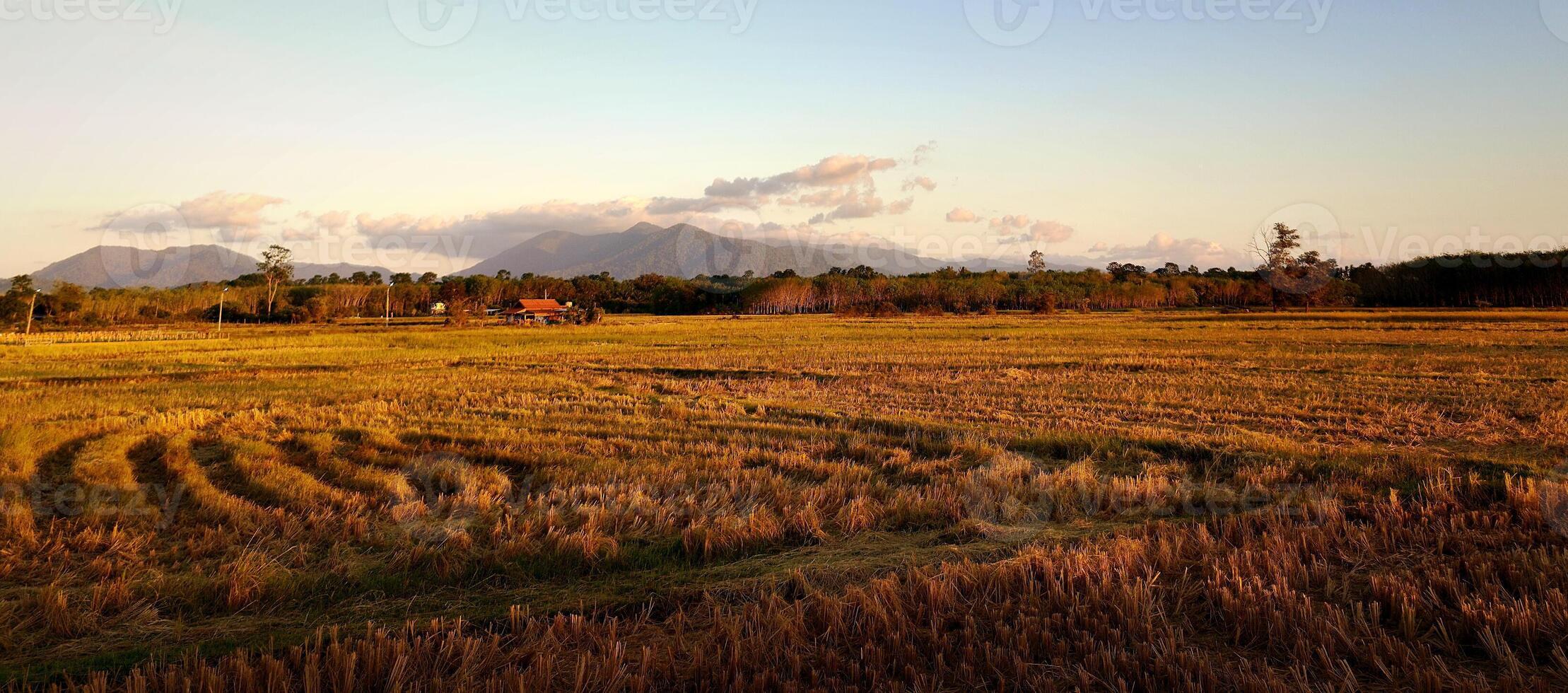 empty lawn and mountain range background at sunset photo