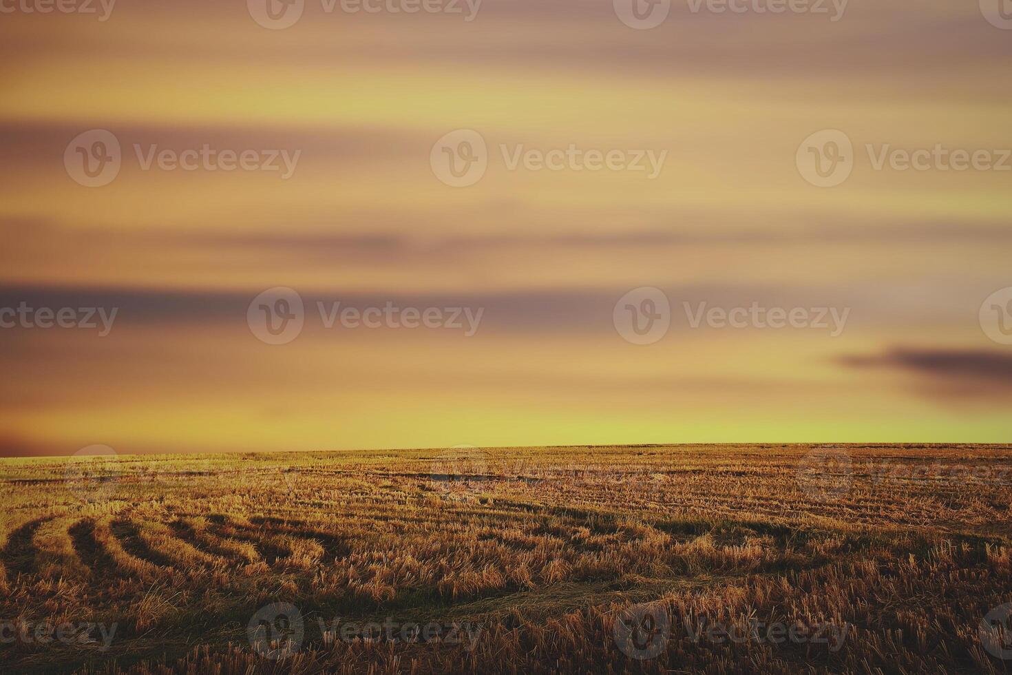 empty grass during sunset nature background photo