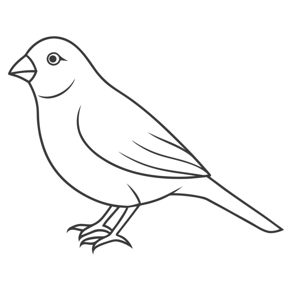 Clean Canary Bird Outline Art vector