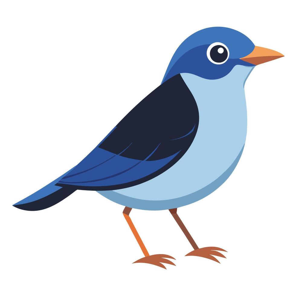 Assorted Birds on White vector
