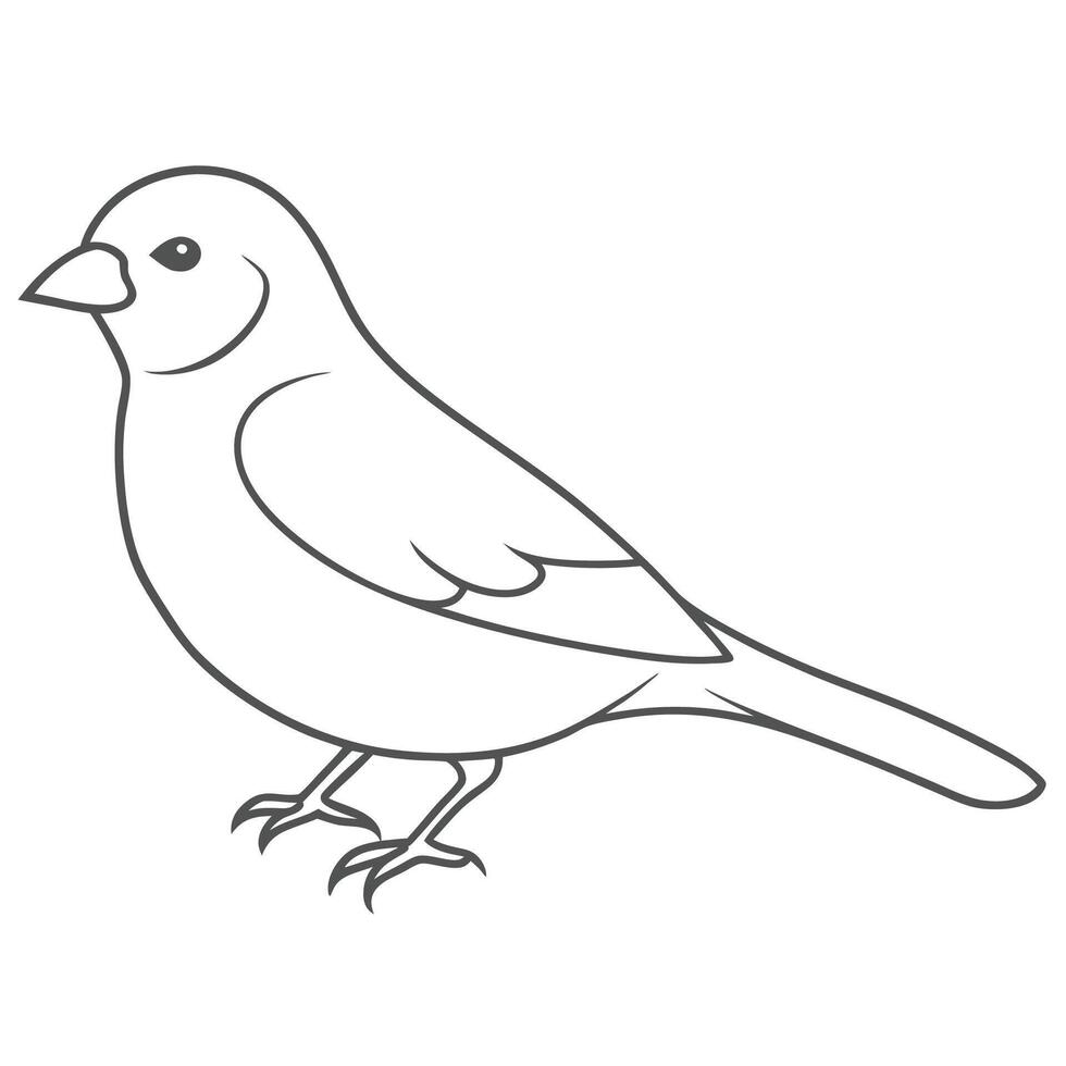 Modern Canary Bird Outline vector