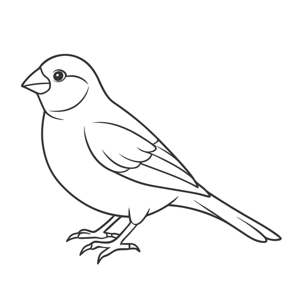 Basic Canary Bird Outline vector