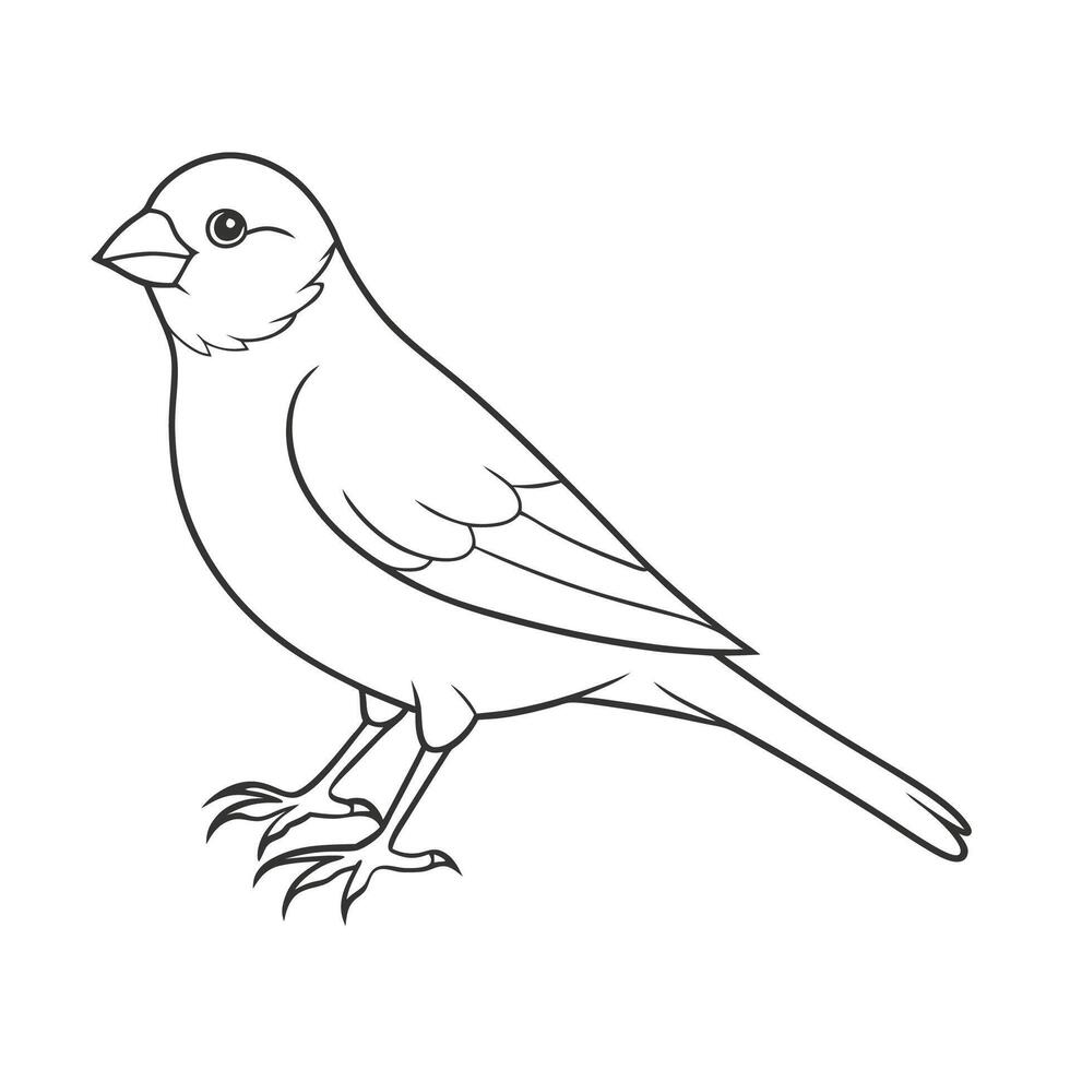 Bold Canary Outline Illustration vector