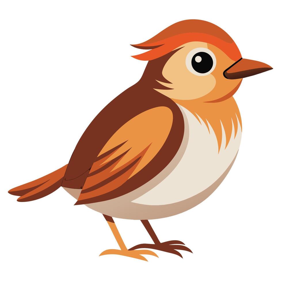 Bird on White Background vector