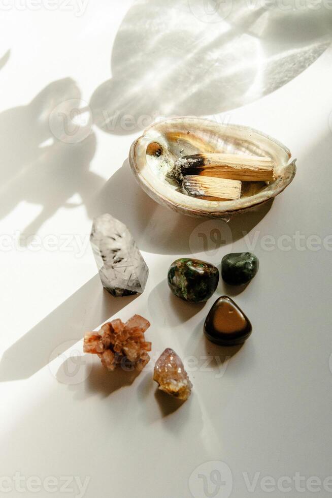 a bowl with stones a shell and a plant photo