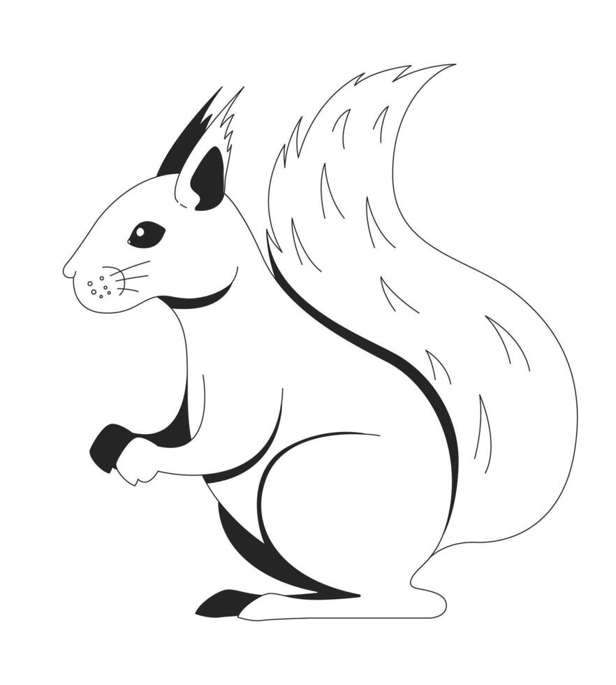Squirrel standing black and white 2D line character. Wild animal woodland. Forest fluffy creature with bushy tail. Rodent mammal isolated outline animal. Monochromatic spot illustration vector