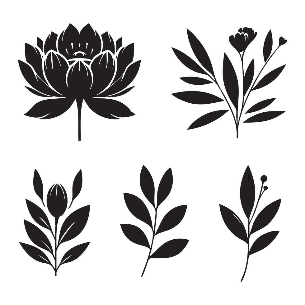 Black and white botanical silhouettes on a white canvas vector