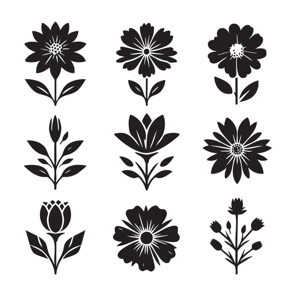 Botanical silhouettes displayed on a white canvas vector