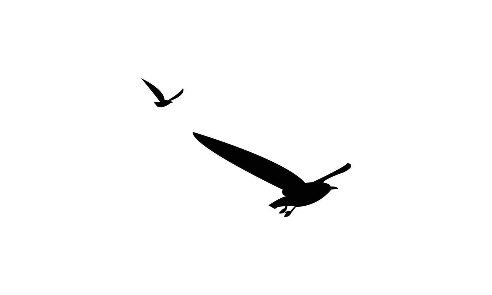 Two Beautiful Birds Flying vector