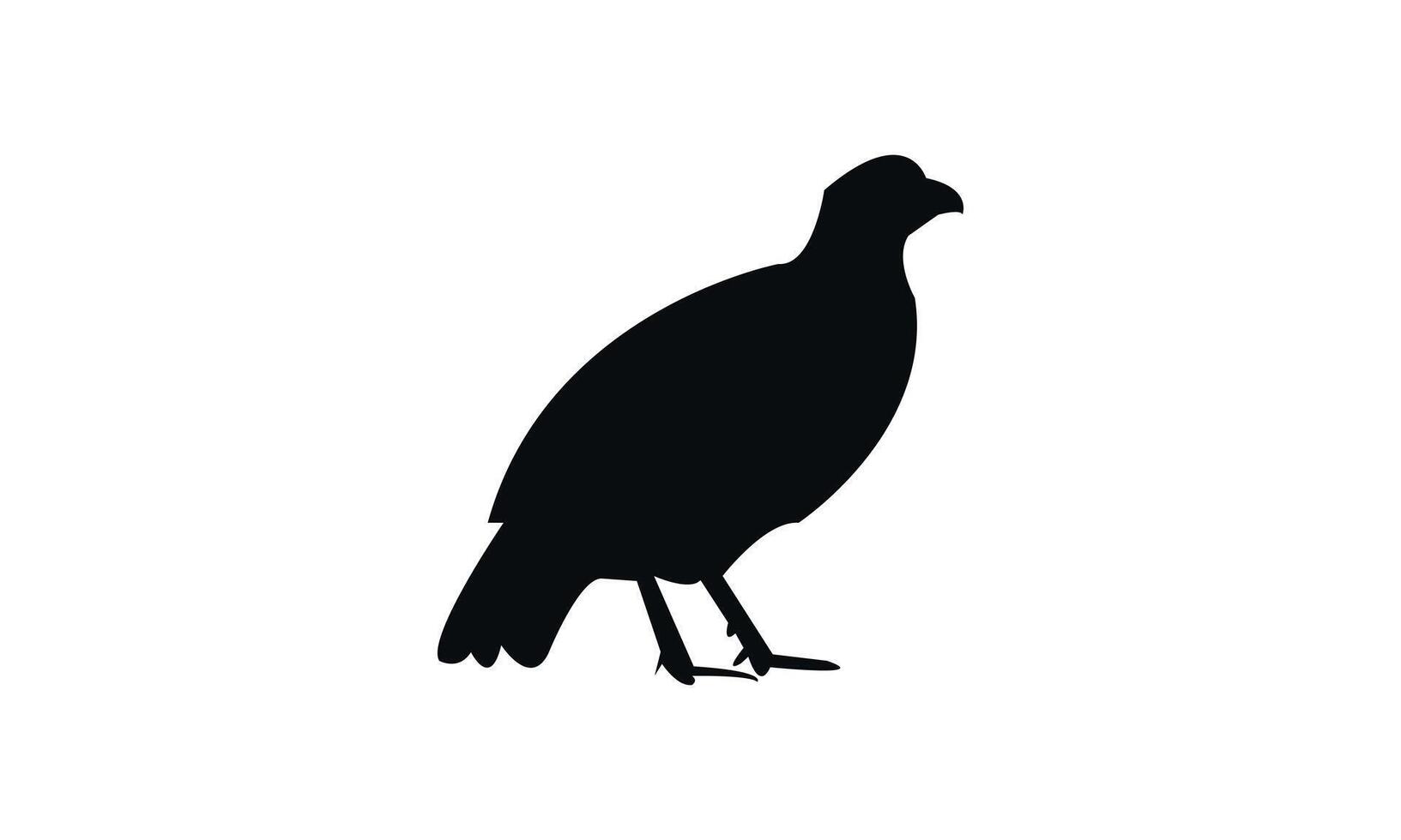 Black Pheasant Bird Design vector