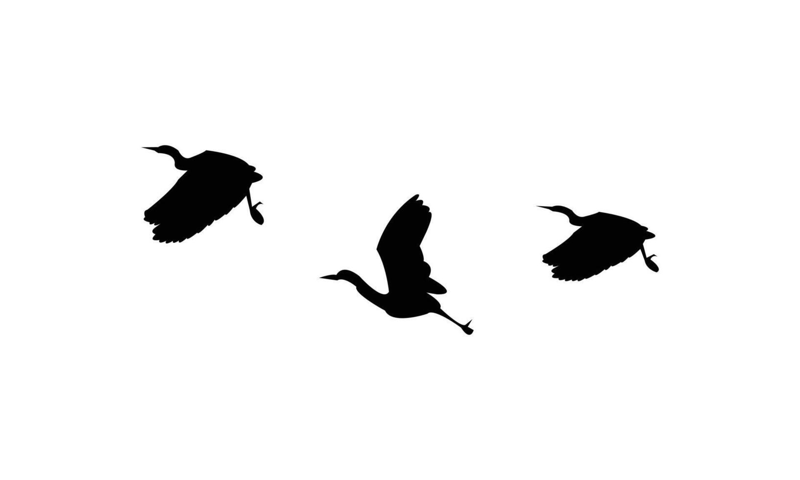 Three Beautiful Black Birds vector