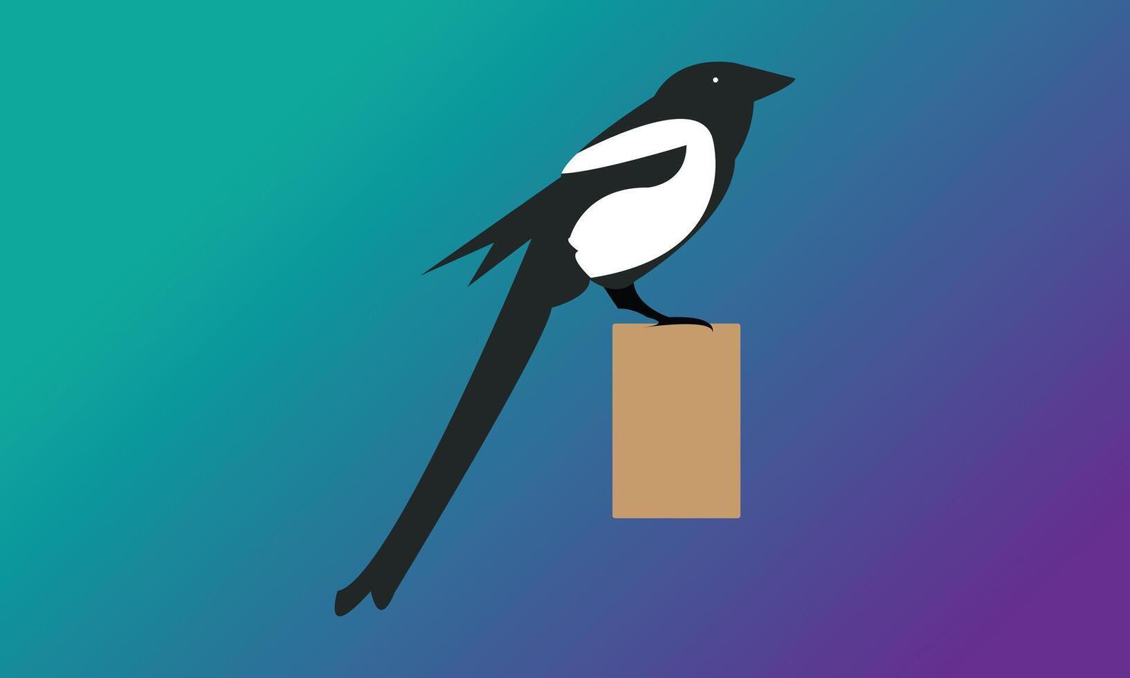 Cute Magpie Bird vector