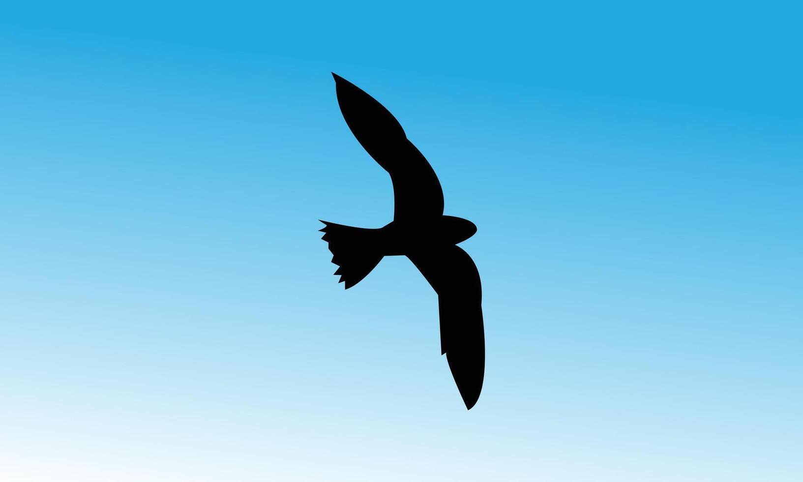 Bird Flying Alone vector