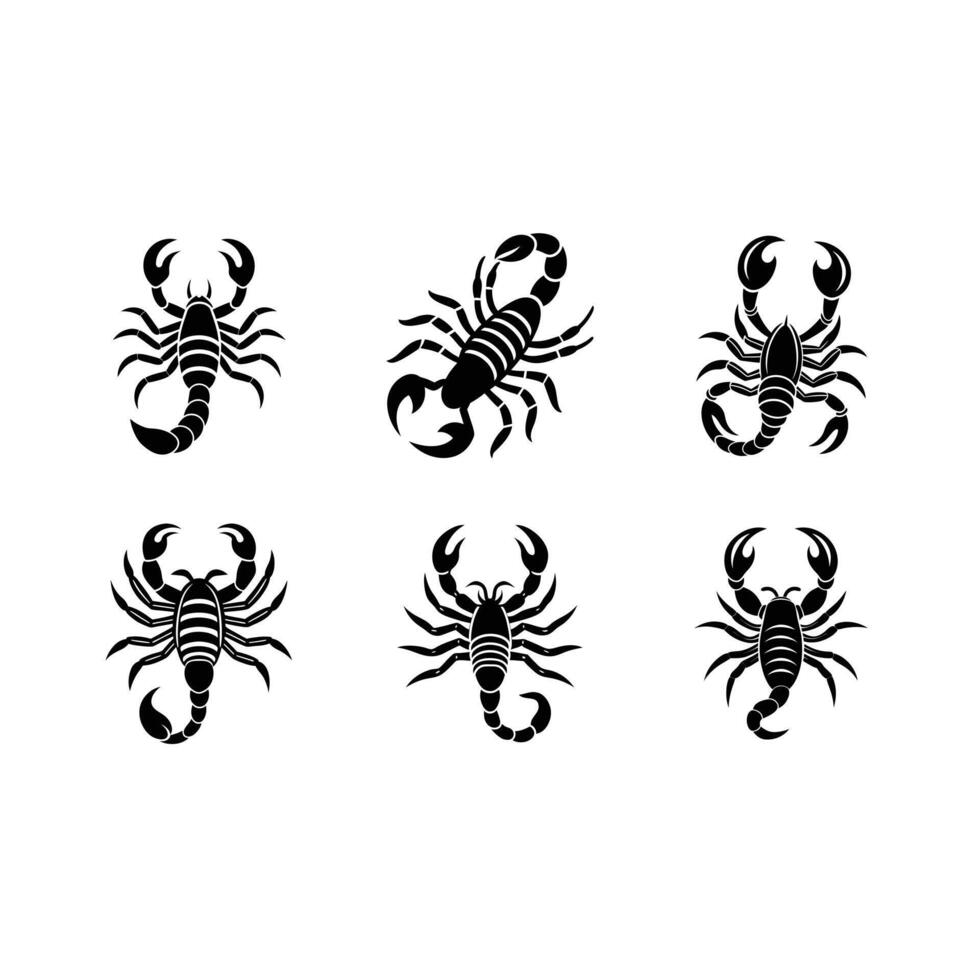 Stunning Scorpion Designs for Printable Graphics vector