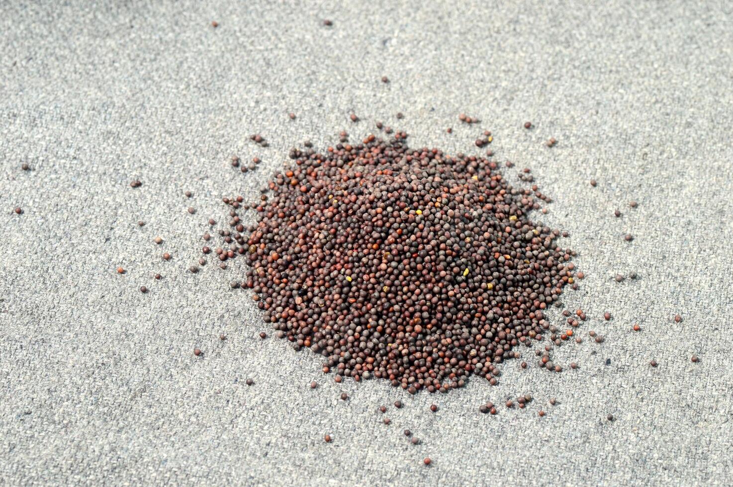 Heap Brown Mustard Seeds on sackcloth photo