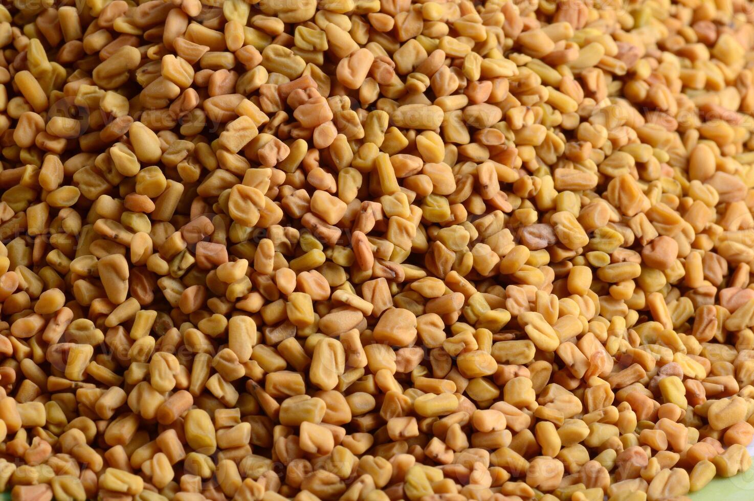 Fenugreek seeds as background. Close up texture photo