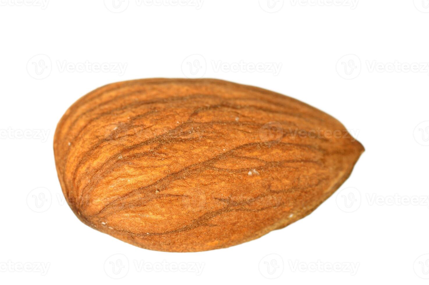 Almond nut isolated on white background photo