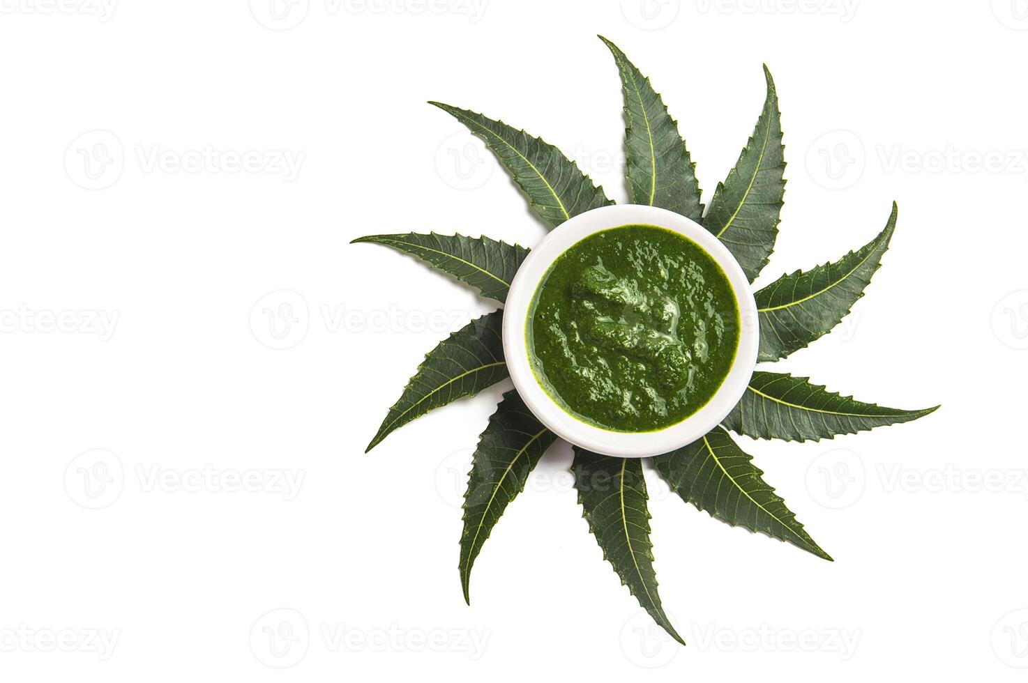 A bowl of green sauce on top of a leaf photo